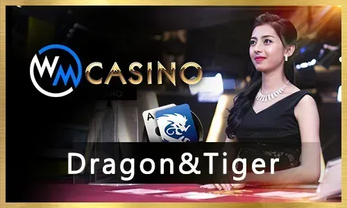 Diverse online casino games available at www.747-live